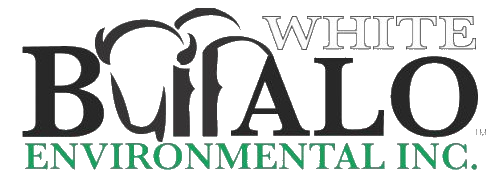WBE Logo